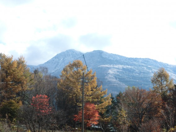 紅葉と雪山