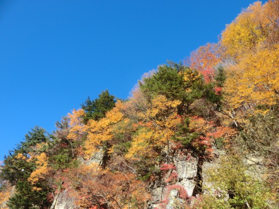 松川渓谷の紅葉